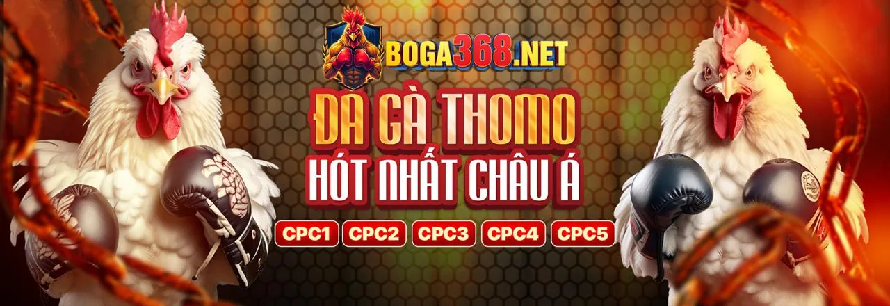 Hình ảnh chính blog ku777 chính thức